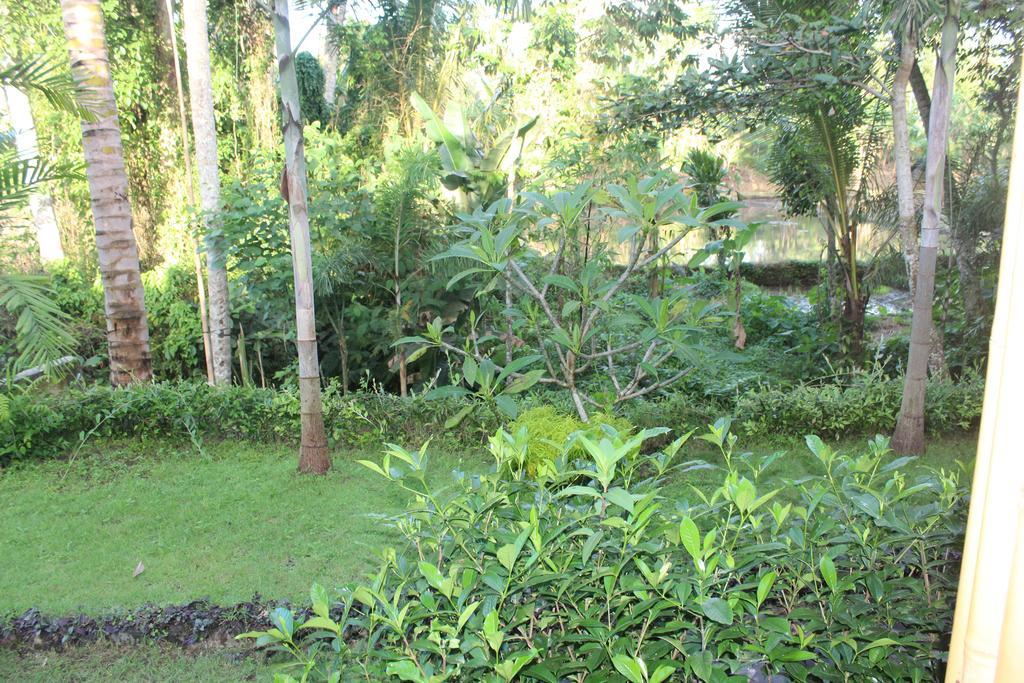 Villa Junjungan Serenity & Ubud